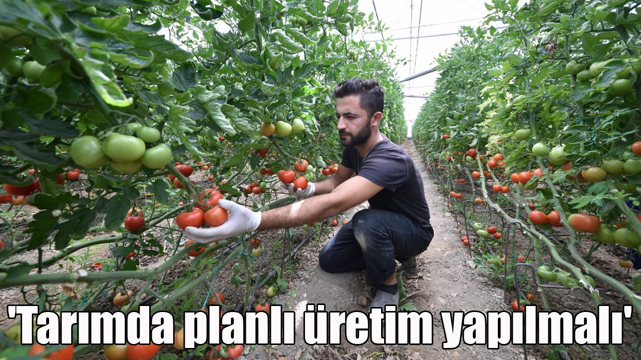 'Tarımda planlı üretim yapılmalı'